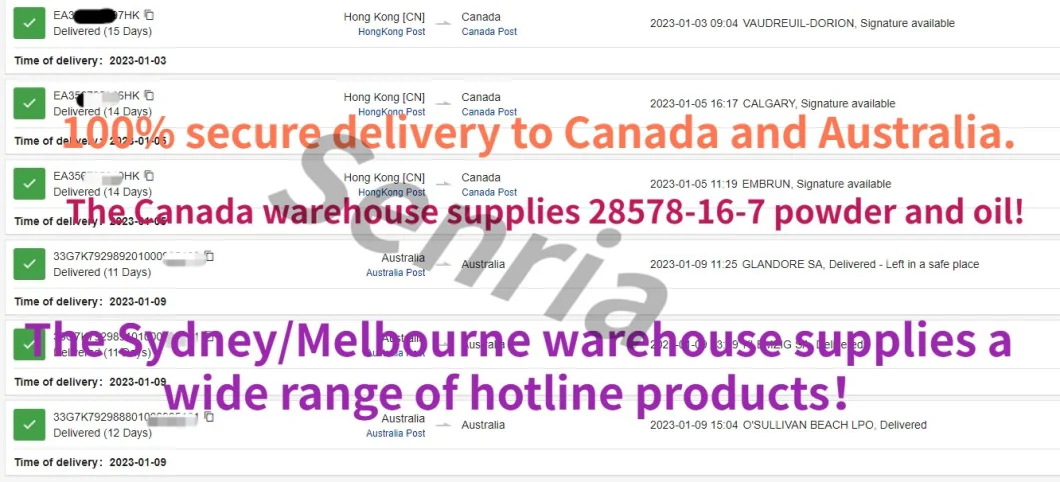 Germany/Australia/Canada Warehouse Supply 99.8% Best Price BMK Pmk Bdo CAS 28578-16-7 20320-59-6 110-64-5 288573-56-0 443998-65-0 with No Customs Problems