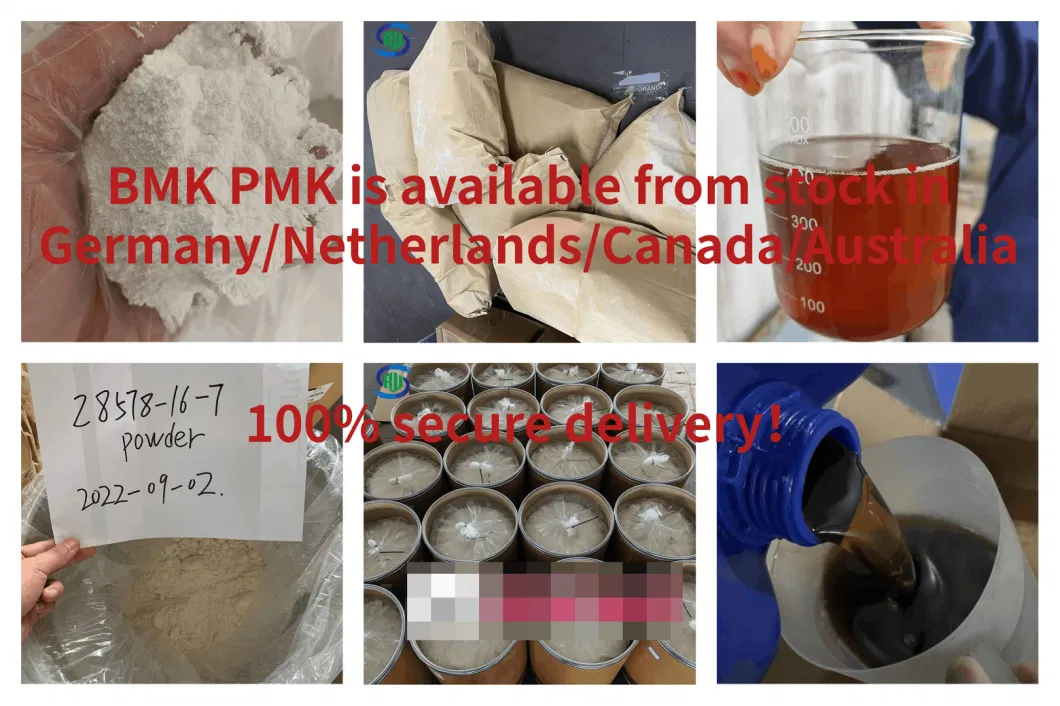 Germany/Australia/Canada Warehouse Supply 99.8% Best Price BMK Pmk Bdo CAS 28578-16-7 20320-59-6 110-64-5 288573-56-0 443998-65-0 with No Customs Problems